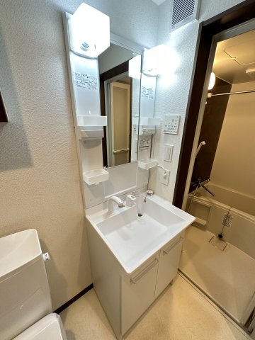 Felice辻堂203号室 洗面