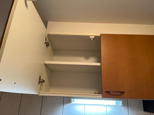 プレサスＳⅡ101号室 キッチン上部収納