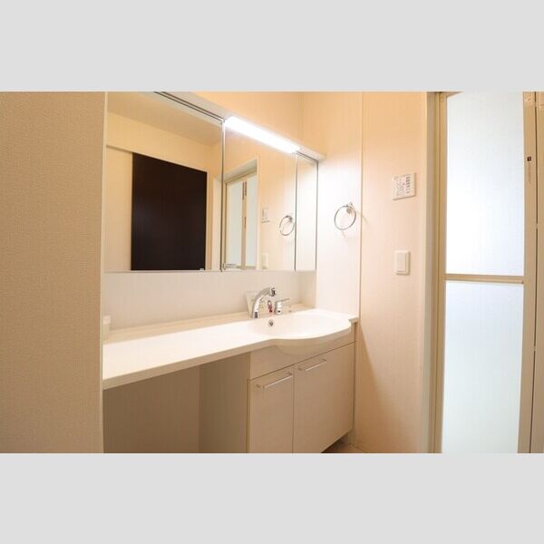 フォレステージ　イースト　B202号室 洗髪洗面化粧台