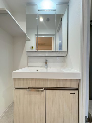 DIPS竹ノ塚駅前803号室 洗面