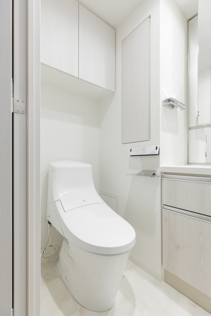 パークヴィラ恵比寿1102号室 Bタイプ2022年7月撮影 同タイプ1302号室の写真です。