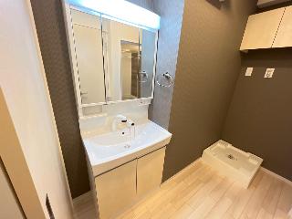 仮称）稲城市大丸　新築アパート201号室 洗面（イメージ）