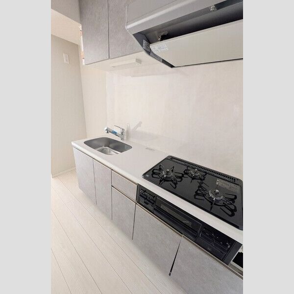 ロイジェント潮見0203号室 キッチン