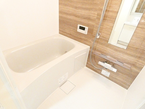 ルミケオ大手町1階 浴室