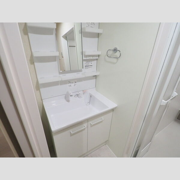 ウェルデンスD-stay　A207号室 洗髪洗面化粧台