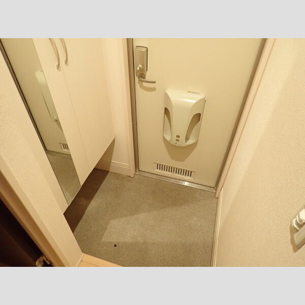 ソレアード・ミナミダⅡ101号室 玄関