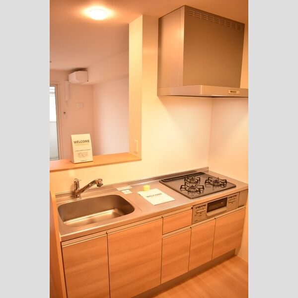 グランデ　Ⅰ203号室 システムキッチン