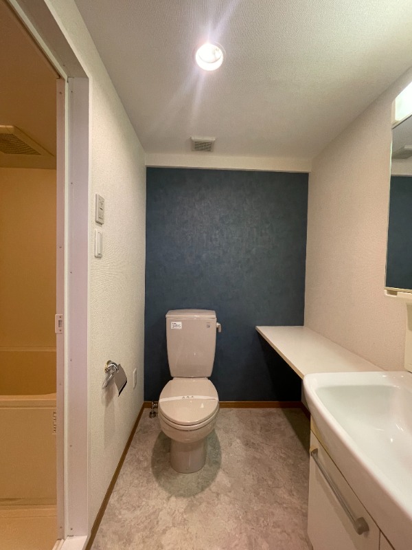 エピナール トイレ