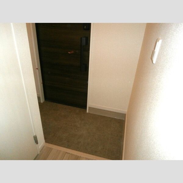 メゾン・ド・アヴニール301号室 玄関