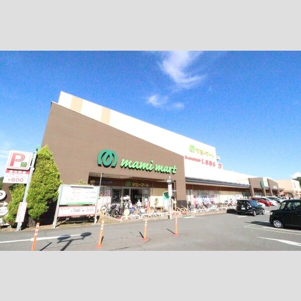 ルミナーレ(大和田新田PJ)303号室 マミーマート　船橋日大前店