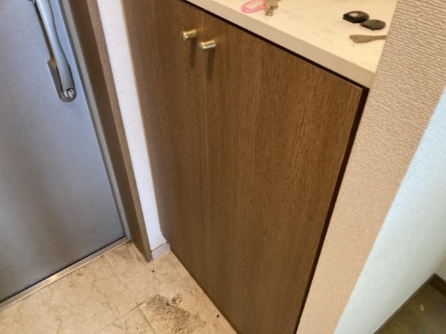 パークウェル代田橋 靴入