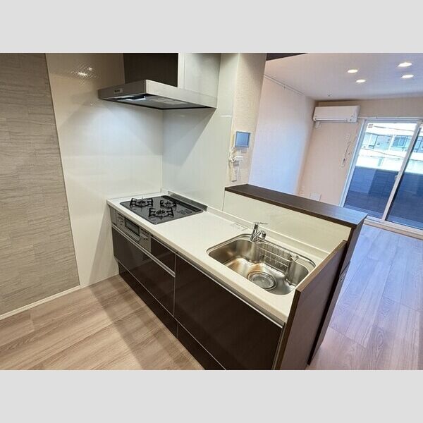 グリーンハウス303号室 システムキッチン