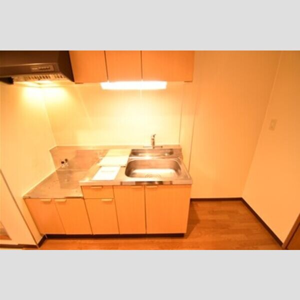 リビングタウン厚木106号室 キッチン