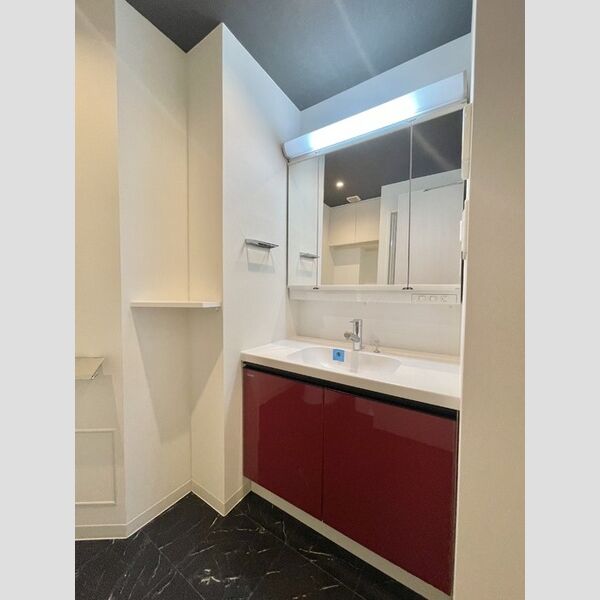 ロイジェントパークス四ツ谷905号室 洗面所