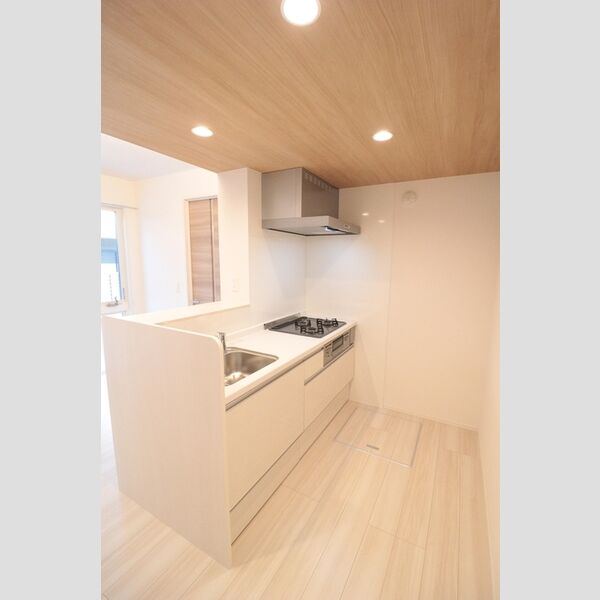 エクセリア上石原 対面キッチン