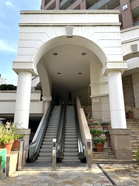 11階