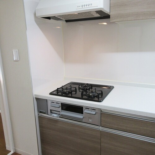 さがみ野パークハイツ（Ｂ棟） ガスコンロ・レンジフード　自己内装後