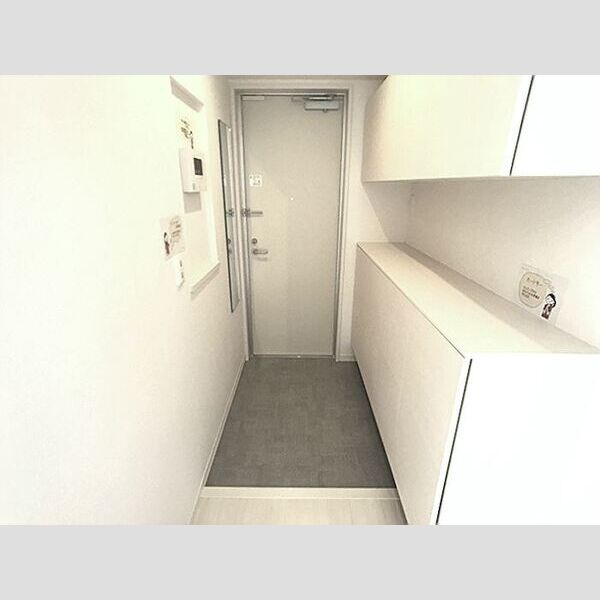 ロイジェントパークス レイクタウン Ⅲ　L 玄関