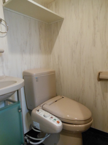 グランド・ガーラ南麻布13階 トイレも気になるポイント
