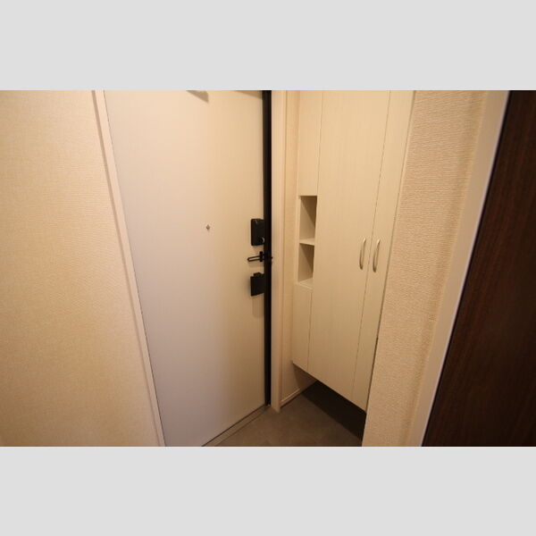アンジュール新田202号室 玄関