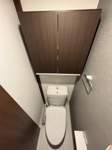 ベイルーム本厚木ルミナス トイレ
