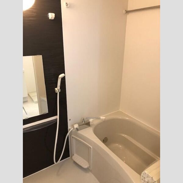 ルミナス ハイム203号室 浴室