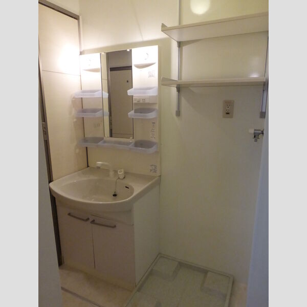リビングタウン鍵山　C201号室 洗面所