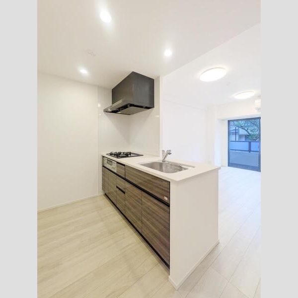 S-RESIDENCE東浦和agua104号室 キッチン