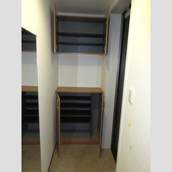 フロンティア南大泉201号室 玄関　シューズボックス