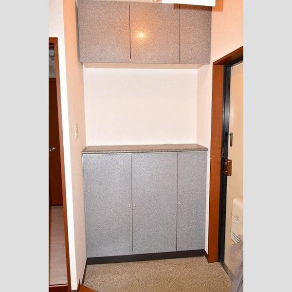 ラ・リヴィエールⅢ203号室 シューズボックス