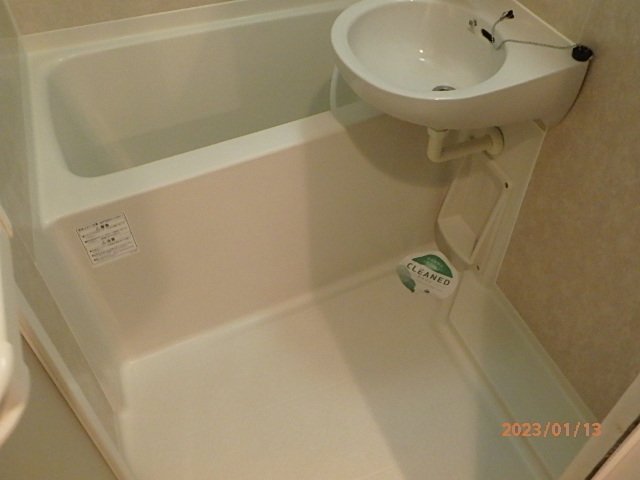 フェニックス芝アストラーレ3階 洗面