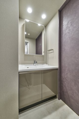 プラウドフラット三越前イースト402号室 洗面