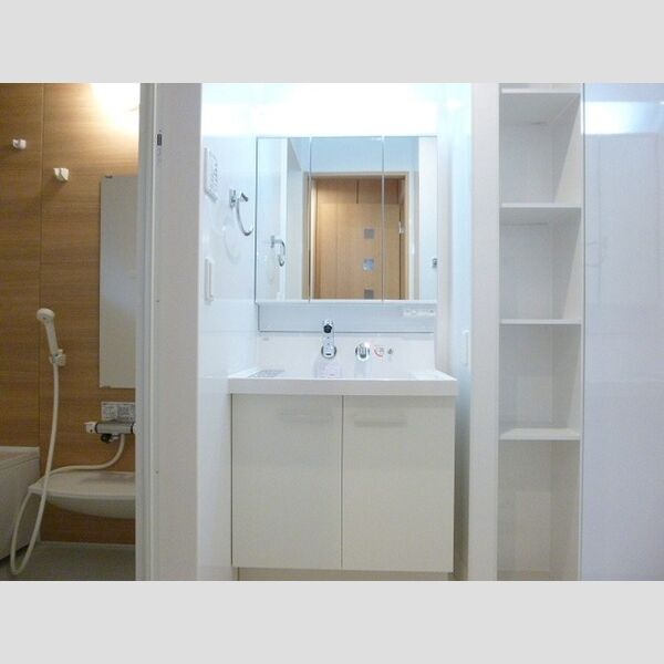 南桜101号室 洗面