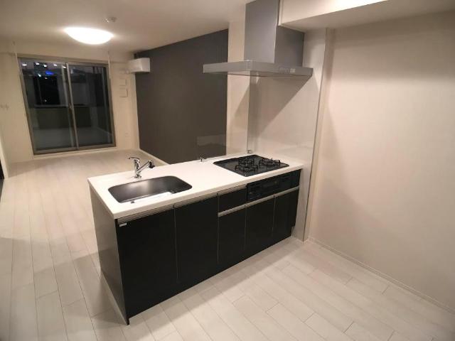 Ｌｏｔｕｓ　Ｖｉｓｔａ　堀の内（ロータス ヴィスタ・堀の内） キッチン