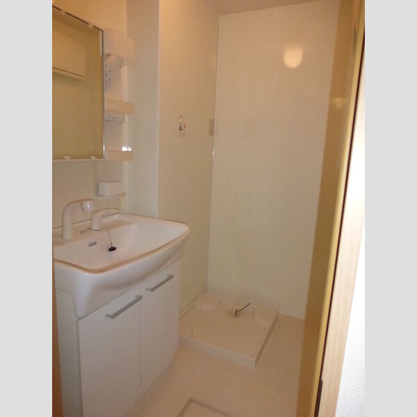 エスポワール神明205号室 洗面室