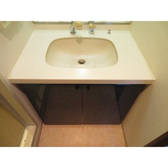 センチュリー横浜・関内1106号室 独立洗面化粧台