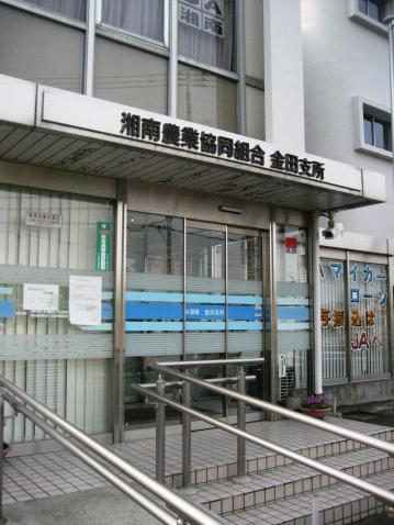 ロカイユ・東栖 JA湘南金田支所まで553ｍ