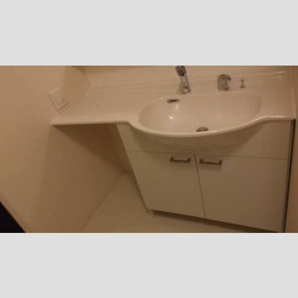 レスポワール　A207号室 洗面台