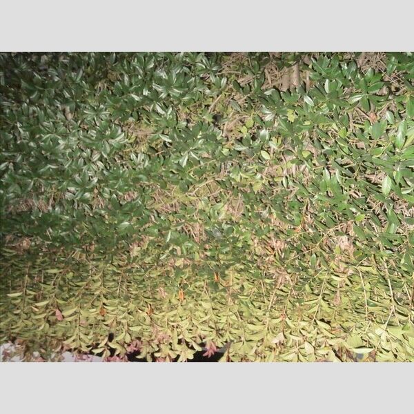 ラミアカーサ MA 眺望