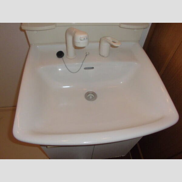 セーラム小仙波101号室 洗面