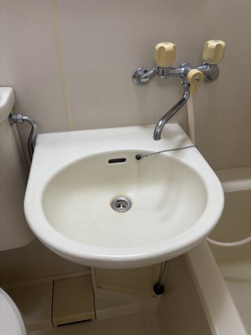 ウィズ今村0403号室 洗面