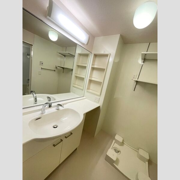 エスポワール鵠沼101号室 洗髪洗面化粧台