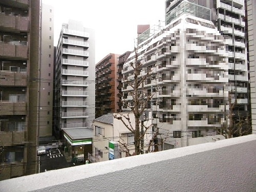 ライオンズタワー五反田2階 バルコニーからの眺望