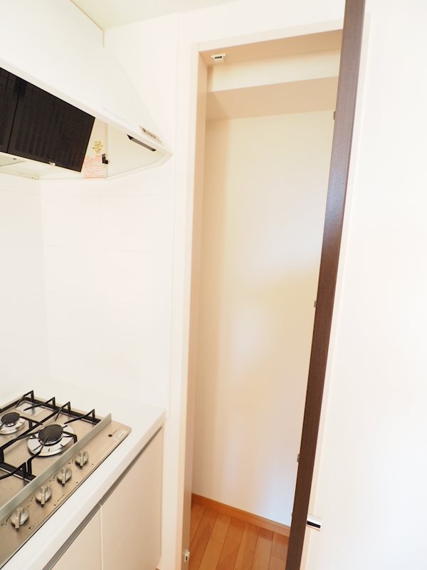 レジディア文京音羽Ⅱ4階 収納