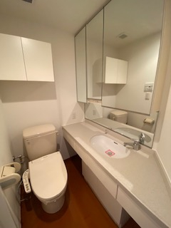 プライムアーバン目白904号室 洗面