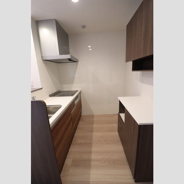 ユートリー　Ⅲ201号室 システムキッチン