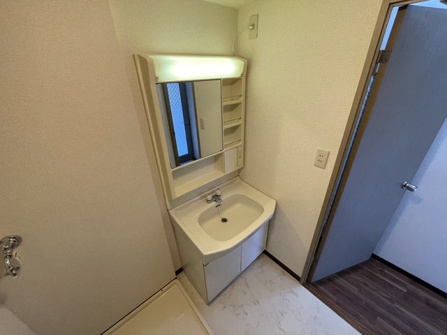 ヴェルジュ三家向0503号室 洗面