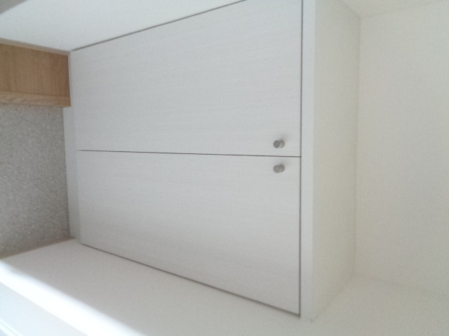 リオアルデ追分0406号室 収納