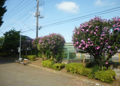 レオパレス霞ヶ関第二 周辺