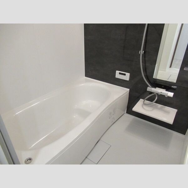 N・D-ROOM IIDACHOU　A棟101号室 1坪風呂